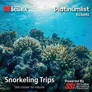 Snorkeling Daily Trips in Jeddah – Attractions Special Offers Attractions Special Offers Shop Online at Dubai Trades