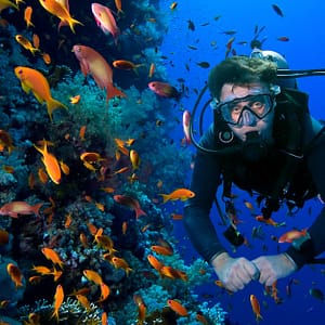 Snorkeling Or Scuba Diving Experience At Al Boom Diving Dubai activities Shop Online at Dubai Trades