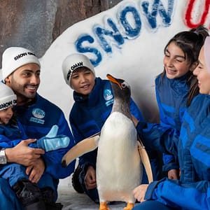 Snow Oman – Top-Rated Attractions Top-Rated Attractions Shop Online at Dubai Trades