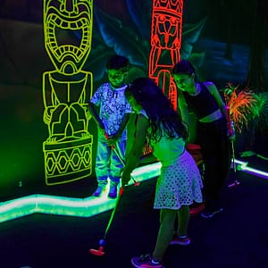 Butterfly Garden – Must-see attractions Must-see attractions Shop Online at Dubai Trades 4
