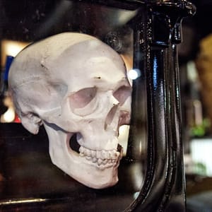 The Ghost Bus Tours – York – Sightseeing and Tours Sightseeing and Tours Shop Online at Dubai Trades 2