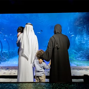 The National Aquarium Abu Dhabi – Experiences Experiences Shop Online at Dubai Trades