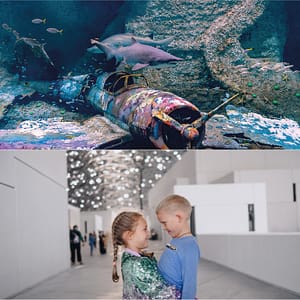 The National Aquarium + Louvre Abu Dhabi – Combo – Combos and more adventures Combos and more adventures Shop Online at Dubai Trades