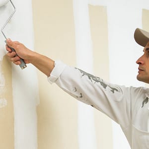 Transform Your Apartment With A Fresh Coat Of Paint Dubai other Shop Online at Dubai Trades