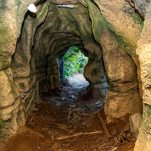 Tropical Land – Top-Rated Attractions Top-Rated Attractions Shop Online at Dubai Trades