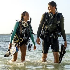 Up To 75% Off On At Apnea Zone Dubai activities Shop Online at Dubai Trades