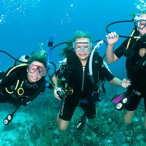 Abu Dhabi City Tour, Child (Aed 59), Adult (Aed 99) Dubai package Shop Online at Dubai Trades 4