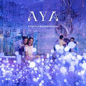 ARTE Museum Dubai & AYA – A trip to a beautiful universe – Combos and more adventures Combos and more adventures Shop Online at Dubai Trades