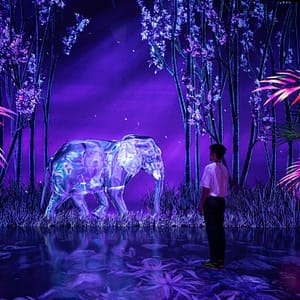 ARTE Museum + House Of Hype – Combo – Combos and more adventures Combos and more adventures Shop Online at Dubai Trades 2