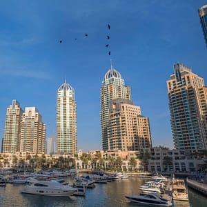 Dubai Full Day Tour – Attractions Special Offers Attractions Special Offers Shop Online at Dubai Trades 2