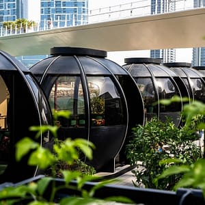 The Pods 4-Course Set Menu – Brunches Brunches Shop Online at Dubai Trades