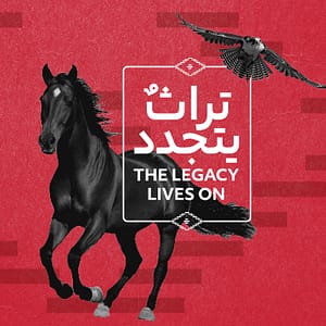 Abu Dhabi International Hunting and Equestrian Exhibition (ADIHEX) 2025 – Exhibitions Exhibitions Shop Online at Dubai Trades 2