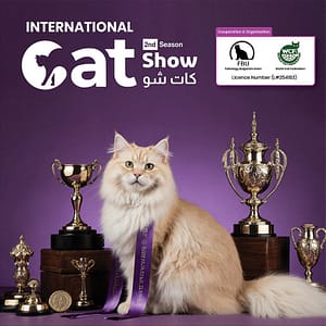 Cat Show in Riyadh – Exhibitions Exhibitions Shop Online at Dubai Trades