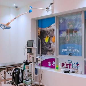 Dog / Cat Grooming From Best Veterinary Clinic In The Uae Award Winner Dubai other Shop Online at Dubai Trades
