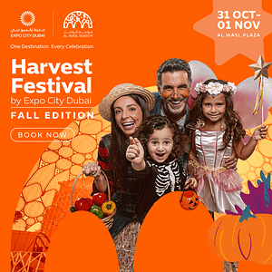Harvest Festival-Fall Edition – Festival Festival Shop Online at Dubai Trades