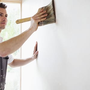 Interior Painter – House PRODUCTS HOME AND GARDEN Shop Online at Special Price from Dubai Trades