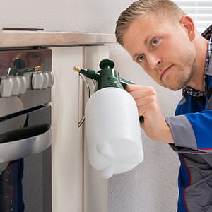 Pest Control Services For Homes And Offices HANDYMAN SERVICES Shop Online at Special Price from Dubai Trades
