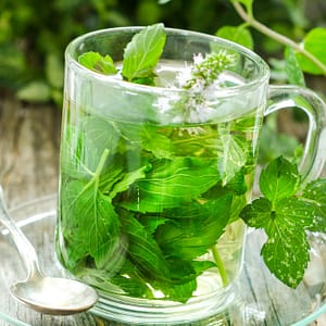 Unlock The Secrets Of Herbs With Master Herbalist Course Shop Online at Special Price from Dubai Trades