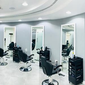 Wash And Blow-Dry HAIRDRESSER Shop Online at Special Price from Dubai Trades