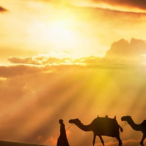 30-Day Uae Tourist Visa Shop Online at Special Price from Dubai Trades