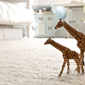 Carpet Cleaning Shop Online at Special Price from Dubai Trades
