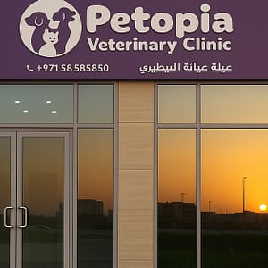 Comprehensive Pet Grooming For Cats And Dogs Up To 40 Kg PETS Shop Online at Special Price from Dubai Trades