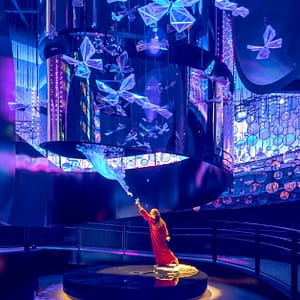 Explore The Wonders Of Expo City Dubai – Attractions Day Pass Shop Online at Special Price from Dubai Trades