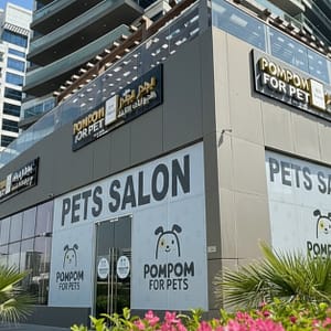 Full Grooming For Cats & Dogs – Small To Xl Breeds PETS Shop Online at Special Price from Dubai Trades 2
