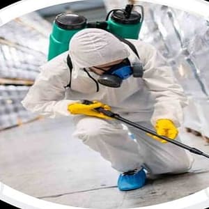 Pest Control Service – General HANDYMAN SERVICES Shop Online at Special Price from Dubai Trades
