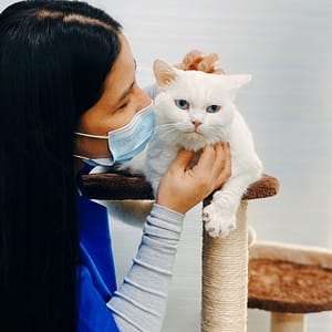 Pet Grooming & Vaccine Care (Consultation, Pch/Dhppi, And Deworming) PETS Shop Online at Special Price from Dubai Trades