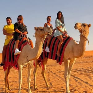 Abu Dhabi Desert Safari+ Central/Home/Hotel Pickup–dinner & Live Shows MOTOR SPORTS Shop Online at Special Price from Dubai Trades