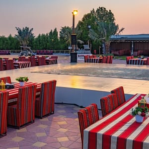 Premium Desert Safari W Bbq, Live Entertainment For One, Two, Or Four MOTOR SPORTS Shop Online at Special Price from Dubai Trades
