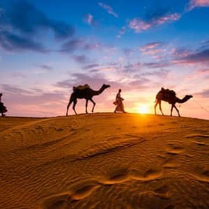 Premium Desert Safari With Vip Transfer, Food, And Live Shows MOTOR SPORTS Shop Online at Special Price from Dubai Trades
