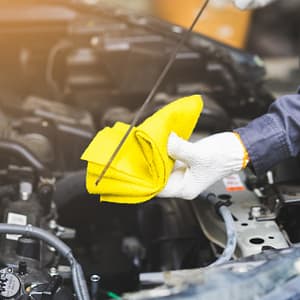 Premium Japanese, Korean, Or Chinese Car Service – Oil Change And More CAR Shop Online at Special Price from Dubai Trades