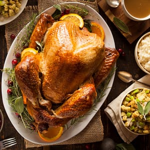 Savor Global Flavors At Cosmic Kitchen: Daily 4-course Set Menu INDIAN Shop Online at Special Price from Dubai Trades