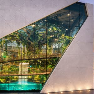 Skip The Line At The Green Planet Dubai: Tropical Rainforest Adventure Culture Shop Online at Special Price from Dubai Trades