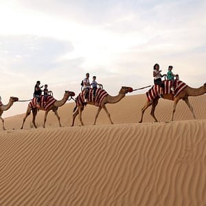 Tour – Bike MOTOR SPORTS Shop Online at Special Price from Dubai Trades