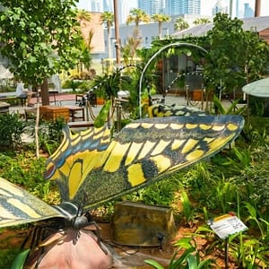The Green Planet Dubai Tickets – Indoor Rainforest Experience Shop Online at Special Price from Dubai Trades