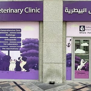 Basic Or Full Grooming For Small Or Medium Dog, Cat Or Large Dog PETS Shop Online at Special Price from Dubai Trades