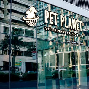 Full Grooming For Cat Or Small Dog, Medium Or Large Dog PETS Shop Online at Special Price from Dubai Trades