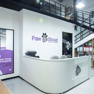 Professional Dog & Cat Grooming For All Sizes PETS Shop Online at Special Price from Dubai Trades