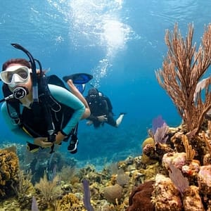 Shore Dive To Snoopy Islands Thriving Reef In Fujairah Marine Park WATER SPORTS Shop Online at Special Price from Dubai Trades