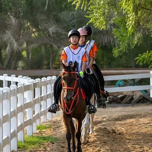45-min Horse Riding Lessons For All Levels: Build Confidence & Skill LEISURE SPORTS Shop Online at Special Price from Dubai Trades 2