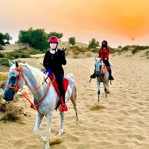 Enjoy Pony Hacking Or Horse Desert Hacking Experience LEISURE SPORTS Shop Online at Special Price from Dubai Trades