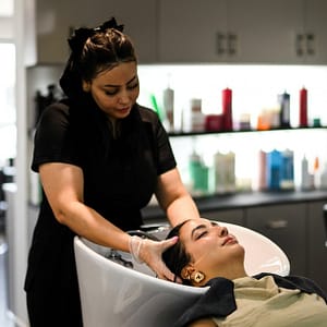 Hair Care Treatments And Styling HAIRDRESSER Shop Online at Special Price from Dubai Trades 2
