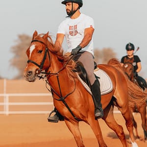 Horse Riding Tours Arena Rides Pony Rides And Training Sessions LEISURE SPORTS Shop Online at Special Price from Dubai Trades 2