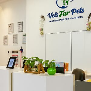 Professional Pet Grooming For Cats, Medium Or Large Dogs PETS Shop Online at Special Price from Dubai Trades