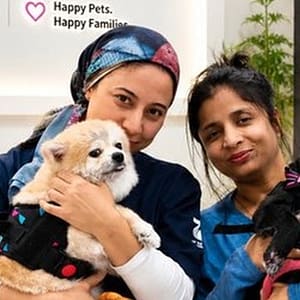 Professional Pet Styling And Comprehensive Hygiene Sessions PETS Shop Online at Special Price from Dubai Trades