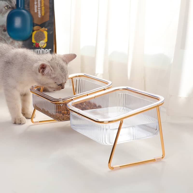 Transparent Bowl With For Easy Feeding And Hydration – Supplies For Cats Basic Bowls Shop Online at Dubai Trades 2