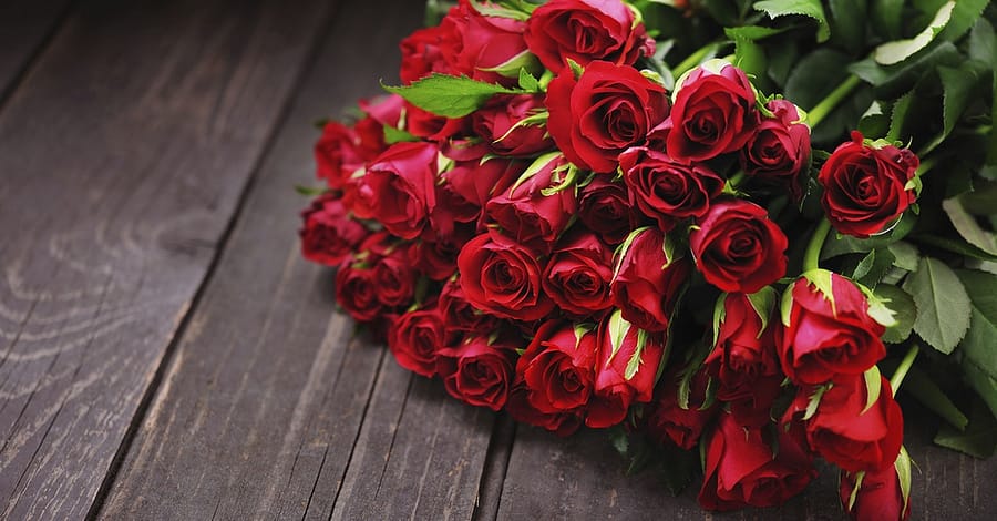 50 To 200 Roses And Card Dubai other Shop Online at Dubai Trades 2